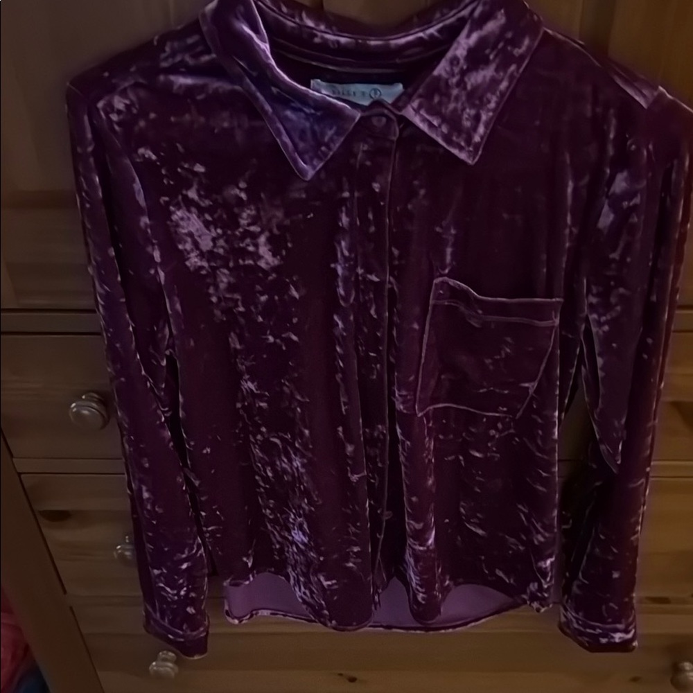 Velvet Long Sleeve Top in Purple
